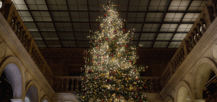 «Турандот», «Сахалин» и «Метрополь»: где в Москве праздновать Новый год 2026