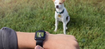 На Apple Watch теперь можно снимать видео и фото