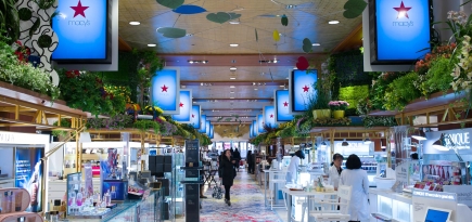 Цветущая арт-галерея