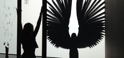 Эволюция революции