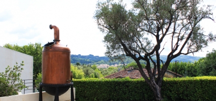 Все тонкости парфюмерного искусства на юге Франции