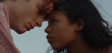 Тимоти Шаламе поделился тизером фильма «Целиком и полностью» Луки Гуаданьино