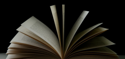 Внук писателя Виктора Драгунского экранизирует «Денискины рассказы»