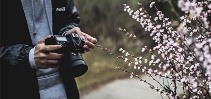 В закладки: гарвардский курс по основам фотографии