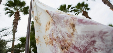 Art Dubai 2016: текущий момент в современном искусстве