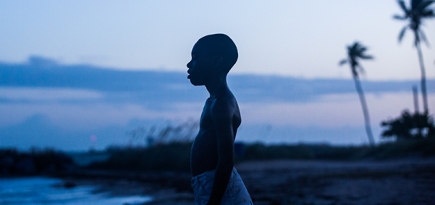 Всё о фильме «Лунный свет» — главном конкуренте «Ла-Ла Ленда»