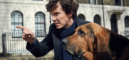 10 самых интересных сериалов сезона