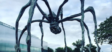 Перед музеем современного искусства вырос паук Луизы Буржуа