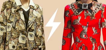 Голосование: кошки в коллекциях Chanel, Dolce & Gabbana и Stella McCartney