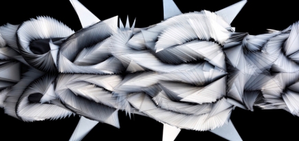 Первый взгляд: выставка Айрис ван Херпен в Музее Атланты