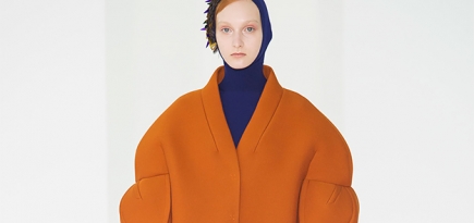 Delpozo, осень-зима 2017  — обзор Buro 24/7