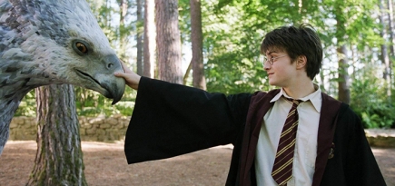 Джоан Роулинг напишет 12 историй о Гарри Поттере