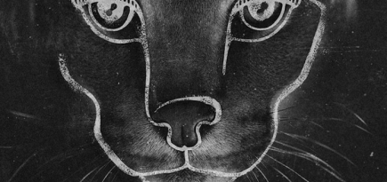 Дуэт Disclosure анонсировал новый альбом Caracal