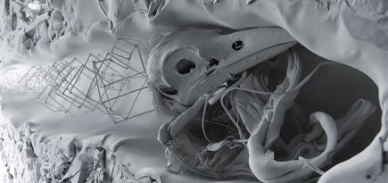 \"Паноптикум\" современного искусства