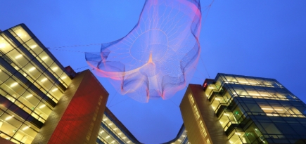 Над Фондом Билла Гейтса в Сиэтле появилась воздушная \"медуза\"