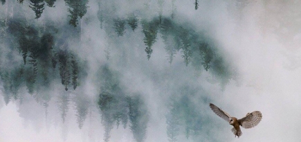 Showtime показал тизер нового сезона «Твин Пикс»