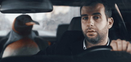 Зачем Иван Ургант пытался встретить Новый год с пингвином