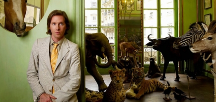 Как попасть в новый фильм Уэса Андерсона