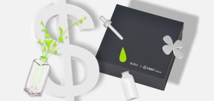 Инвестиции в себя: как научиться правильно вкладывать средства