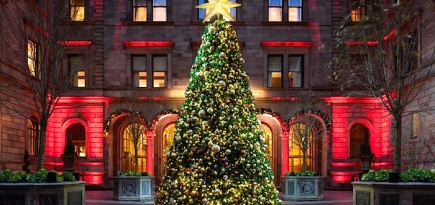 Рождественские елки в лучших отелях мира