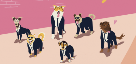 Ресторан Tilda Food & Bar запускает акцию совместно с фондом «Твое собачье дело»