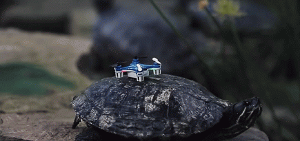 Создан самый маленький дрон в мире