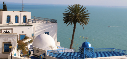 Тунис отменил все ковидные ограничения для туристов