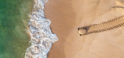 Международный конкурс аэрофотографии Drone Photo Awards 2021 назвал победителей