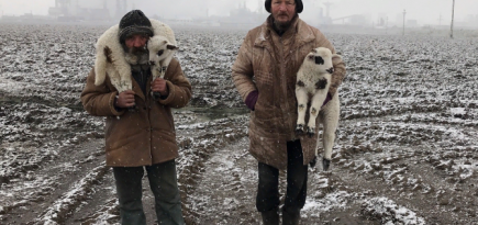 Названы лучшие фото, снятые на iPhone в 2021 году