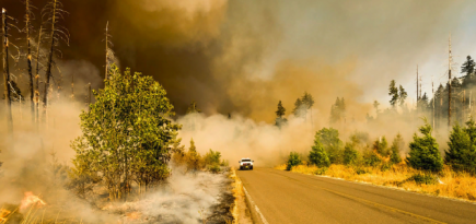 ООН опубликовала новый доклад об изменениях климата