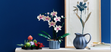 LEGO представила орхидеи и суккуленты как часть «Ботанической коллекции»