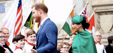 Принц Гарри и Меган Маркл «начали войну» против королевской семьи