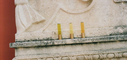 Бренд сестер Олсен The Row выпустил ароматические масла