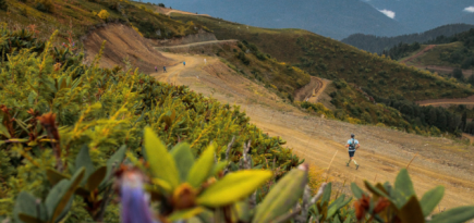 На Роза Хутор пройдет фестиваль Т-Банк Rosa Wild Fest