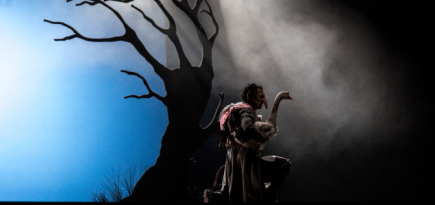 «Яндекс Афиша» покажет сказочный мюзикл «Карлик Нос»