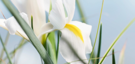 Christian Dior запустил экологическую стратегию развития парфюмерной линии