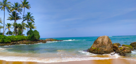 Шри-Ланка начала выдавать россиянам бесплатные визы