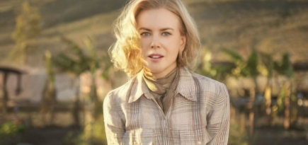 Николь Кидман и Антонио Бандерас сыграют в эротическом триллере «Малышка»