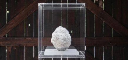 Японская керамистка Эрико Синодзаки выиграла премию фонда Loewe Craft Prize 2023