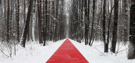 В парке Малевича открылся ленд-арт-проект «Белый лес»