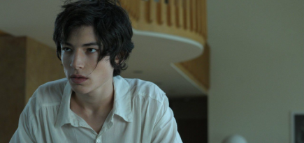 Актер Эзра Миллер признал вину по делу о краже со взломом