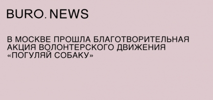 В Москве прошла благотворительная акция волонтерского движения «Погуляй собаку»