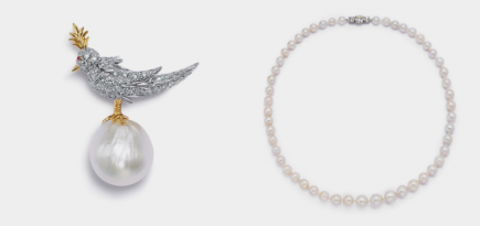 Tiffany & Co. переосмыслил культовую брошь авторства Жана Шлюмберже