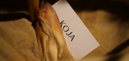 Создатели Yauza Place, Blanc и «Радио» открыли бьюти-пространство Koja