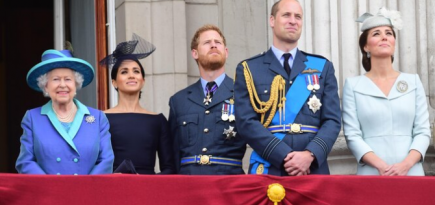 Биограф Омид Скоби написал новую книгу о королевской семье