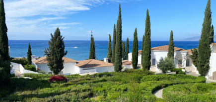 Виза на Кипр станет платной с декабря этого года