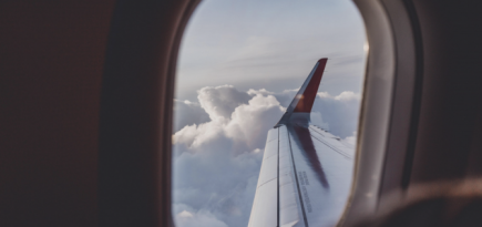 «Аэрофлот» приостановит онлайн-регистрацию на рейсы