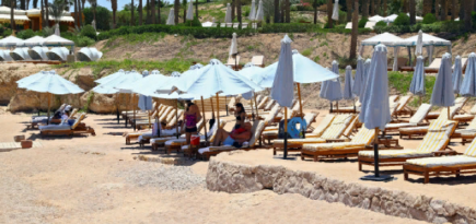 Россия возобновит рейсы в Доминикану, Бахрейн, Молдавию и на курорты Египта