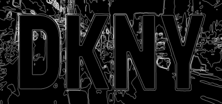 DKNY выставит на аукционе свой первый токен