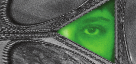 Дом радио запускает спецпроект «Вечернее собрание Марины Цветаевой»